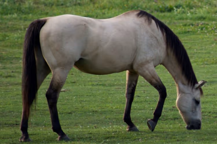 Ik ben ook (maar) een mens ...